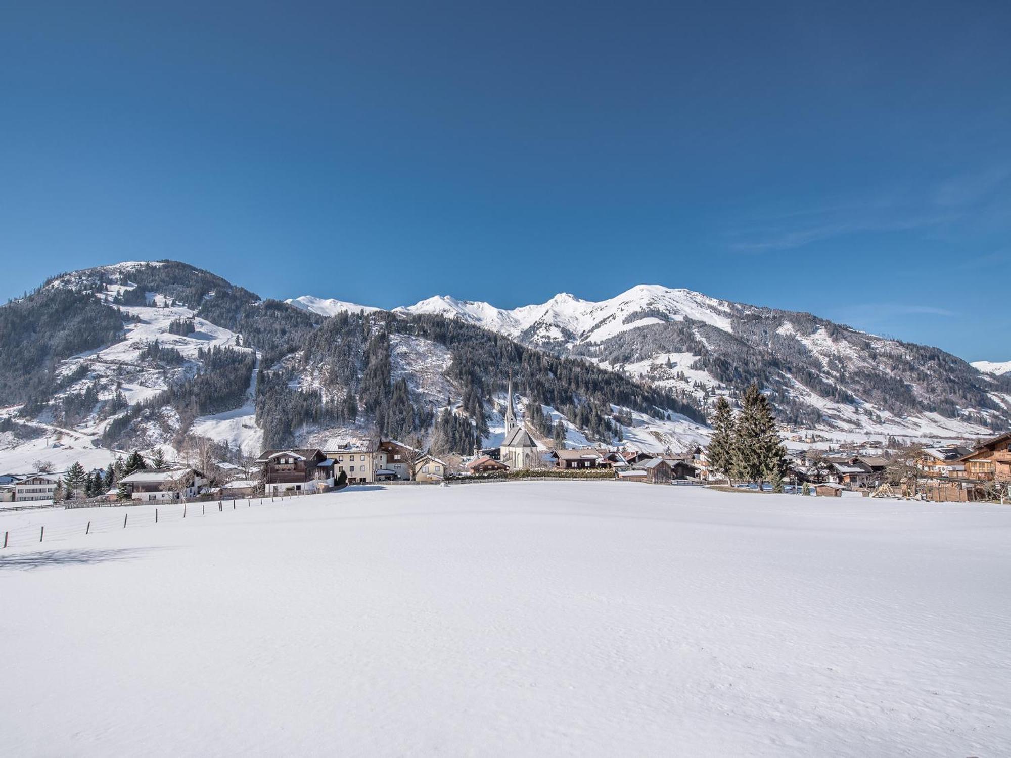 Apartment Appartement-pension Fahrnberggut Rauris